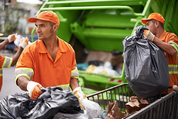 Best Shed Removal  in South Roxana, IL